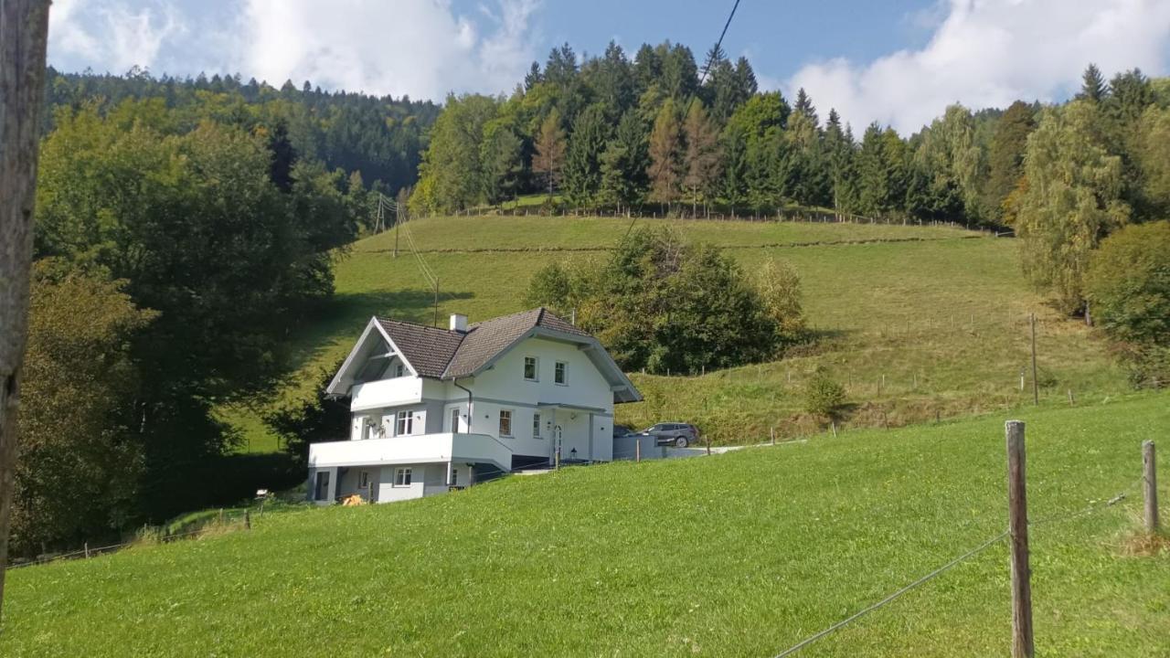 Aparts Lakeview -Gerlitzen -Ossiacher See -Ski Tratten  Εξωτερικό φωτογραφία